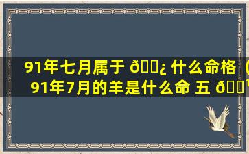 91年七月属于 🌿 什么命格（91年7月的羊是什么命 五 🌹 行属什么）